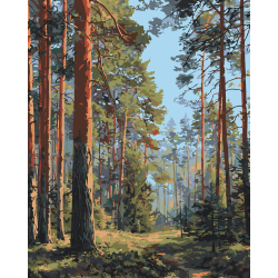Картина по номерам 40*50 русская природа, лес